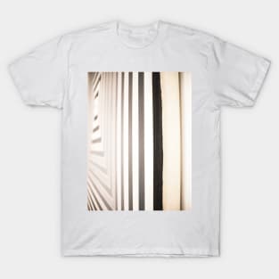 Frank Stella T-Shirt